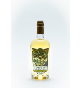 Capitoline Dry Vermouth