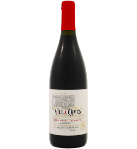 Villa Chven Aleksandrouli - Mujuretuli 2022 Villa Chven Aleksandrouli - Mujuretuli 2022