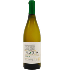 Villa Chven Tsolikouri 2022 Villa Chven Tsolikouri 2022