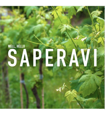 6 Bottle Mixed Georgian Saperavi Wine Sampler