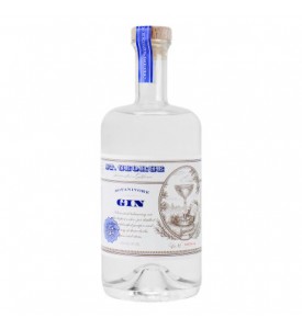 St. George Botanivore Gin